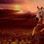 Kisah Nabi Zulkifli AS