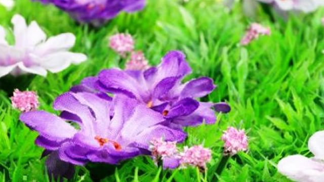 Kisah Saudah binti Zam’ah, Istri Rasulullah yag Dinikahi Setelah Khadijah