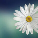 Ummu Athiyah, Perempuan yang Ikut dalam 7 Peperangan Kaum Muslim